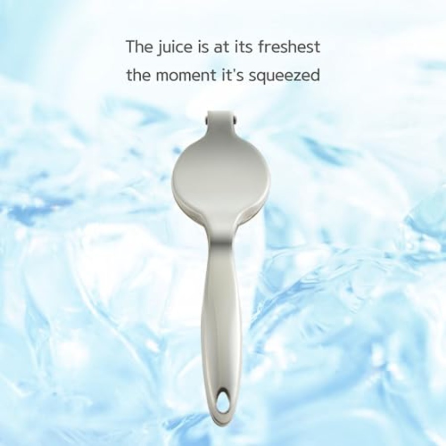 Lemon Squeezer 304 Stainless S - đánh giá và giá Citrus Juicer Bar