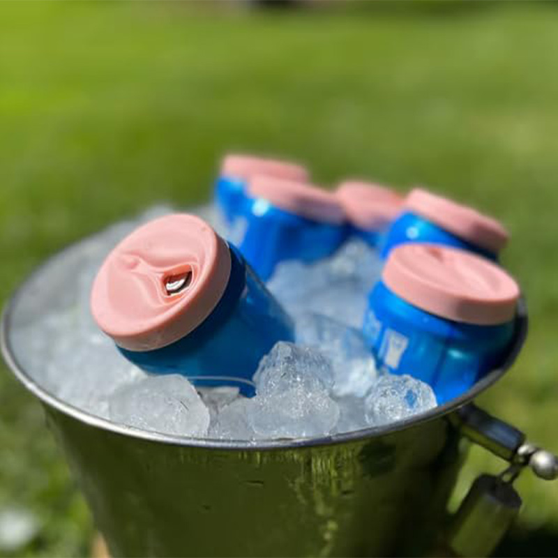 Silicone Soda Can Lids New 2 C - đánh giá và giá Citrus Juicer Bar
